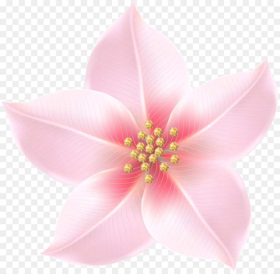 Rosa M - rosa und gold Blumen
