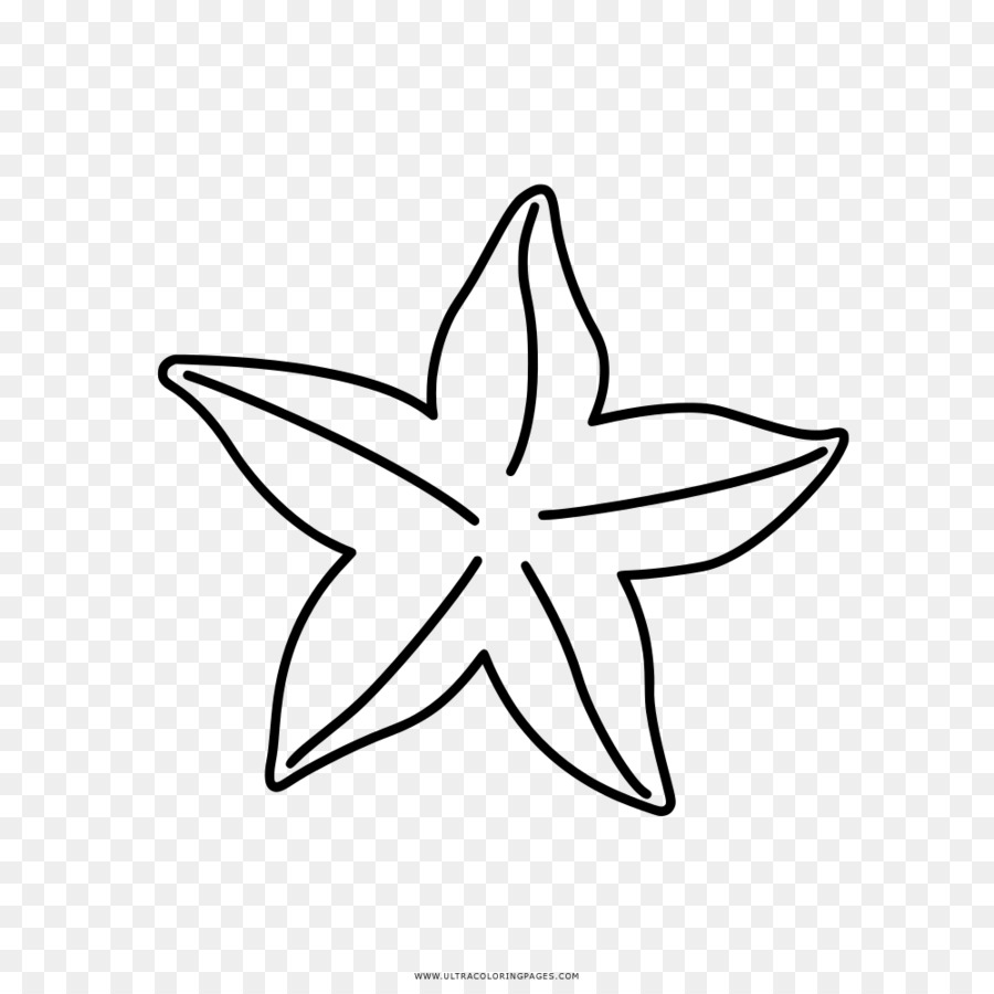 Libro da colorare Disegno Starfish Clip art - stella di mare
