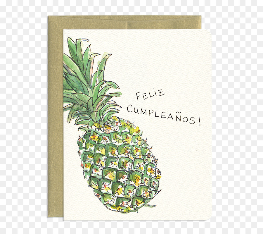 Ananas Gruß & Grußkarten Geburtstag Wünschen - Ananas lustig