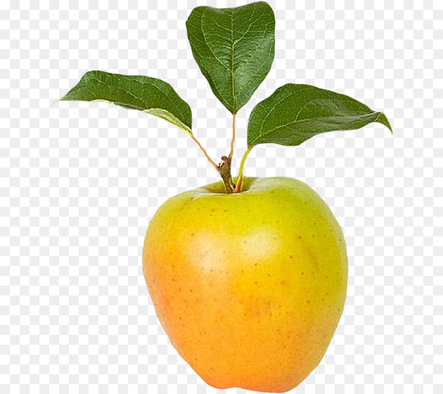 Chanh tự Nhiên, ăn Trái cây Táo - táo