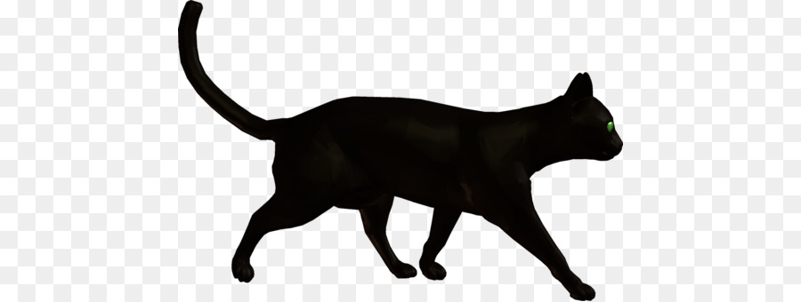 Nero, gatto Domestico a pelo corto Cane del gatto Baffi - gatto