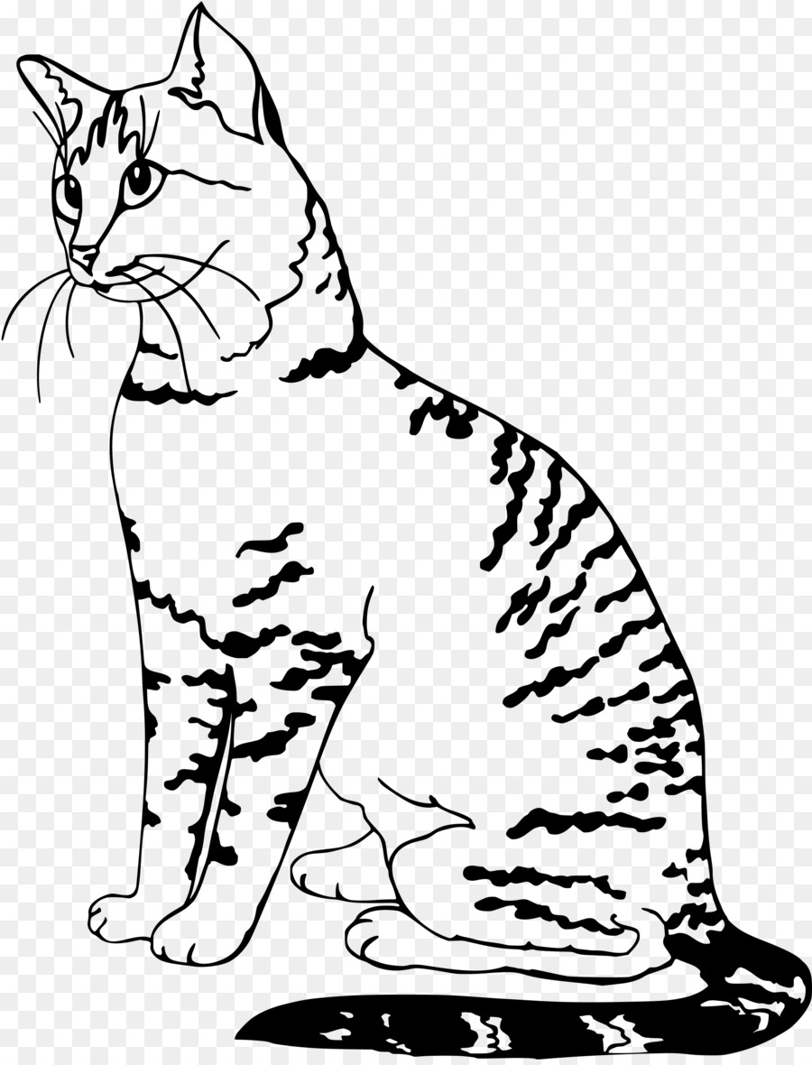 Baffi Gattino Wildcat Tabby, gatto Domestico, gatto pelo corto - gattino