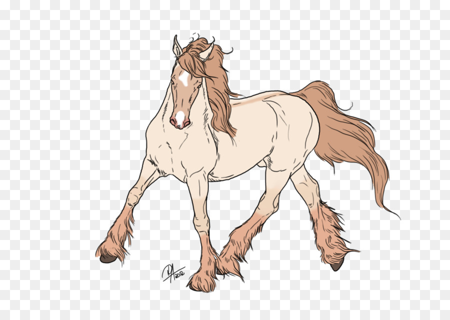 Puledro Mane Pony Puledro Stallone - mustang