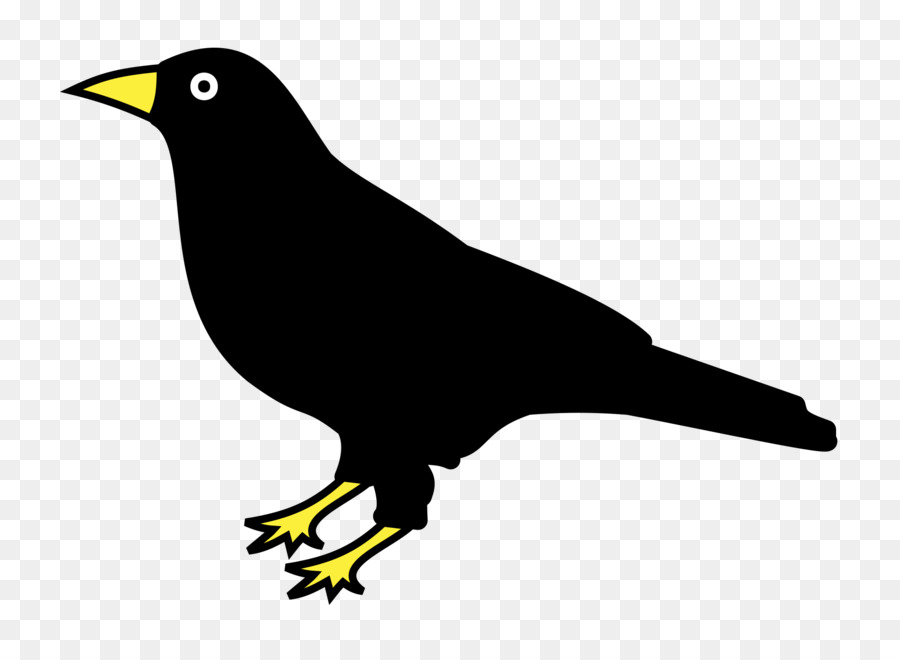 Raven Vẽ Corvo Clip nghệ thuật - Raven