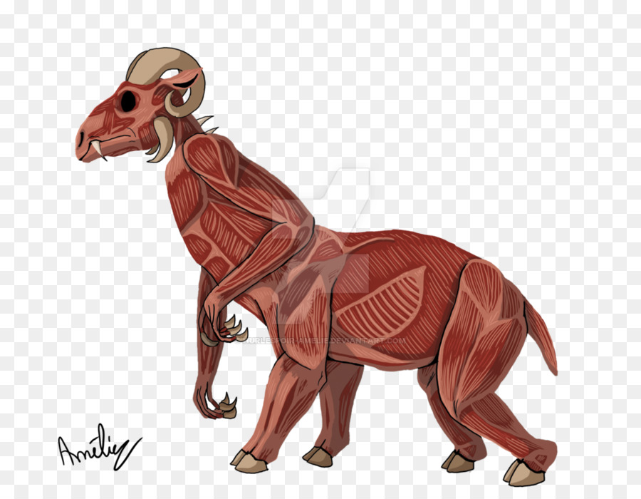 Carnivora animali Terrestri Dinosauro della Fauna selvatica - anatomia muscolare