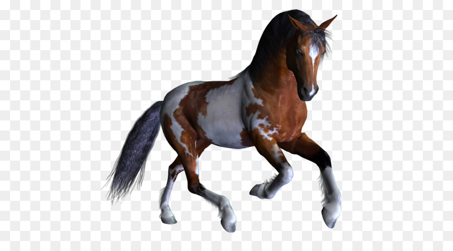 Mustang Hengst Pony Zügel des Wilden Pferdes - Mustang