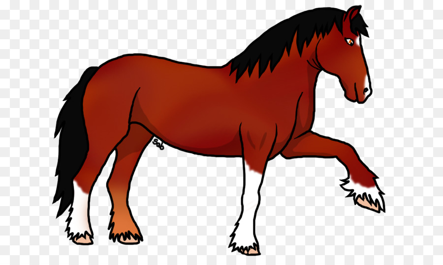 Mustang Pony Puledro Stallone Mare - mustang