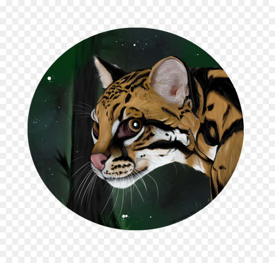 Mèo rừng Hổ con mèo Lớn, Puma - con hổ