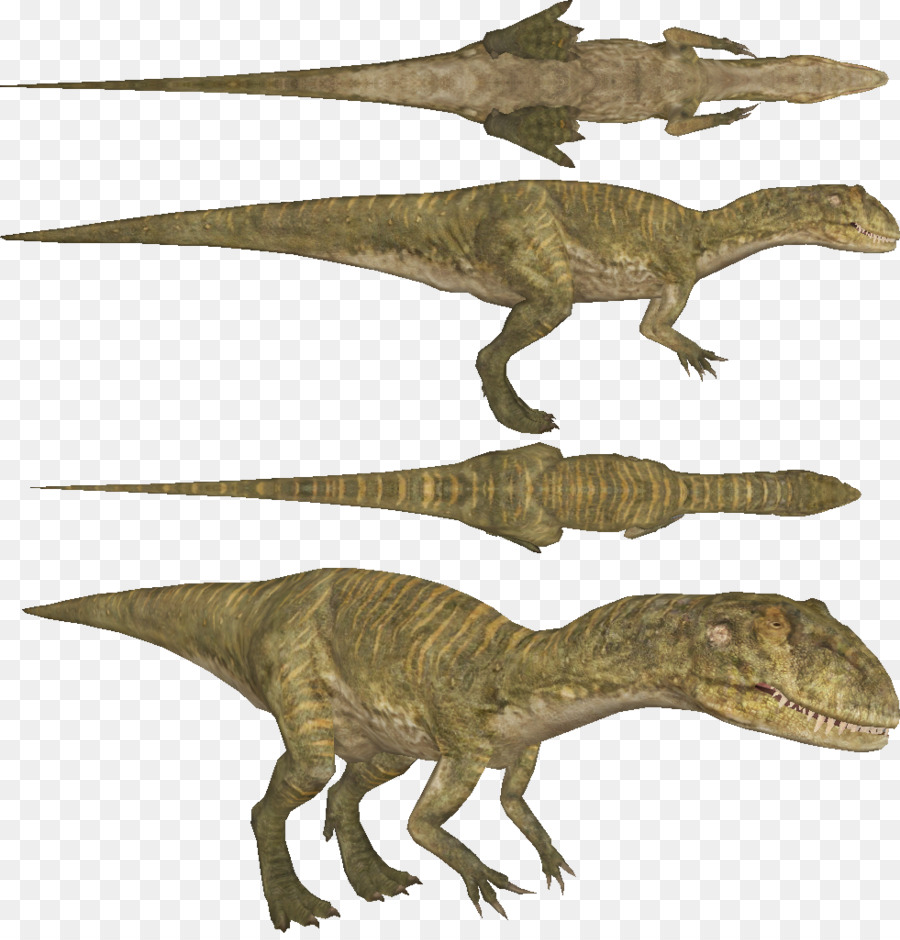 Tyrannosaurus Allosaurus Australovenator Muttaburrasaurus Leaellynasaura - Dinosauro