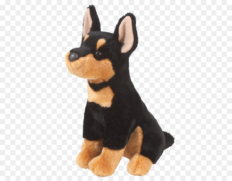 Ormskirk terrier, Miniatur Pinscher Russkiy Toy Manchester Terrier, Englisch Toy Terrier - Welpen