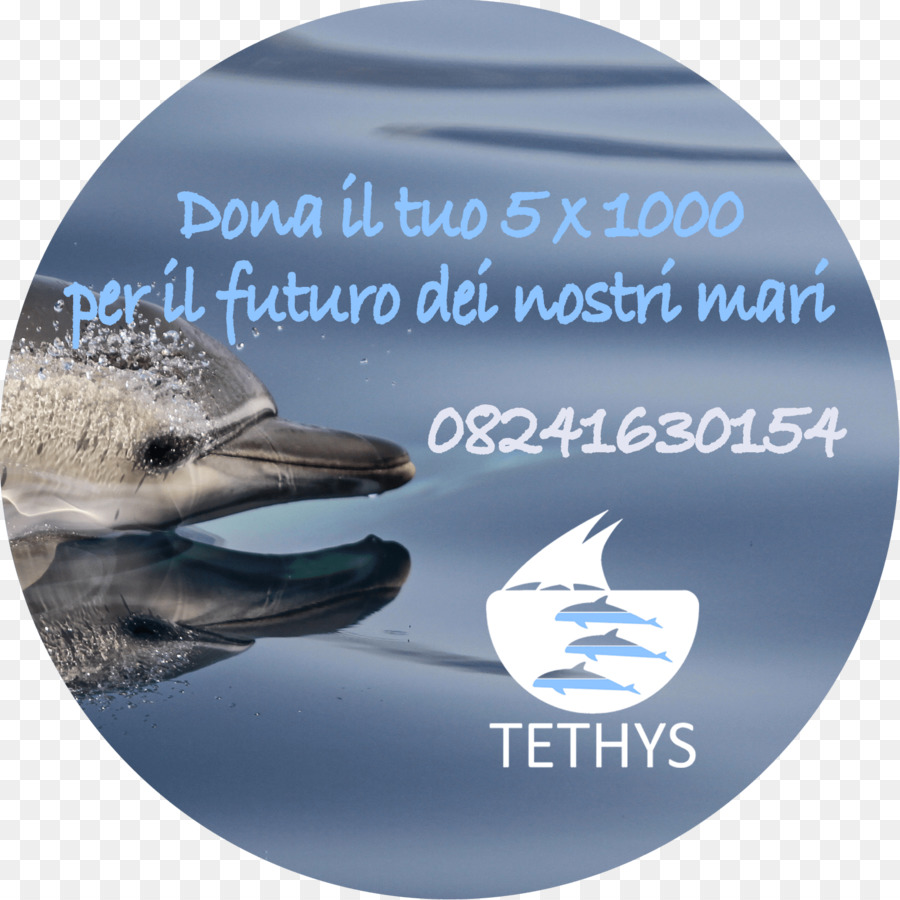 Streifendelfin Mittelmeer Wale Tethys Research Institute - 5 x 1000
