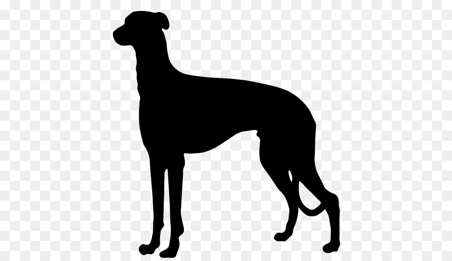 Australischer Vieh Hund Deutsch Kurzhaar German Wirehaired Pointer Ormskirk terrier - Silhouette