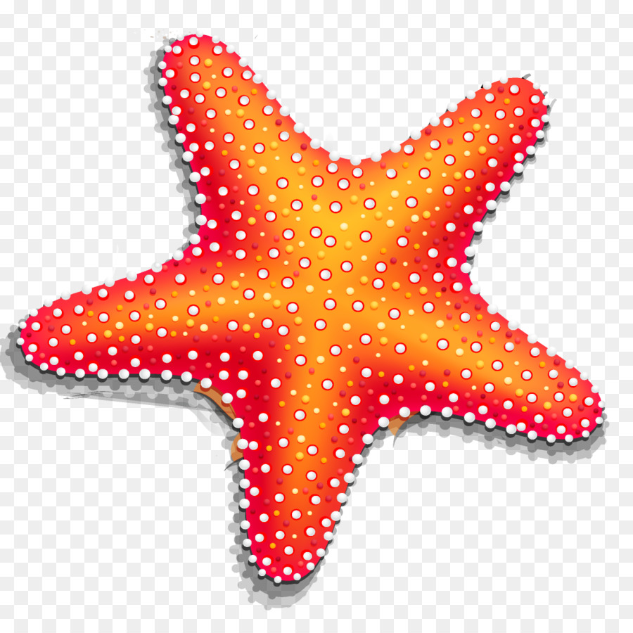 Starfish Disegno - sabbia