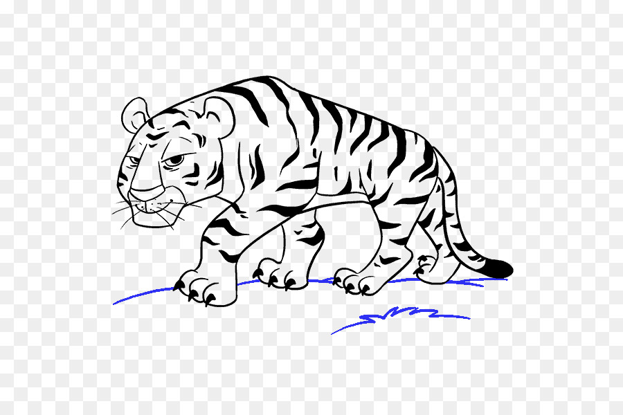 Hướng dẫn chi tiết cách vẽ con hổ đơn giản với 8 bước cơ bản