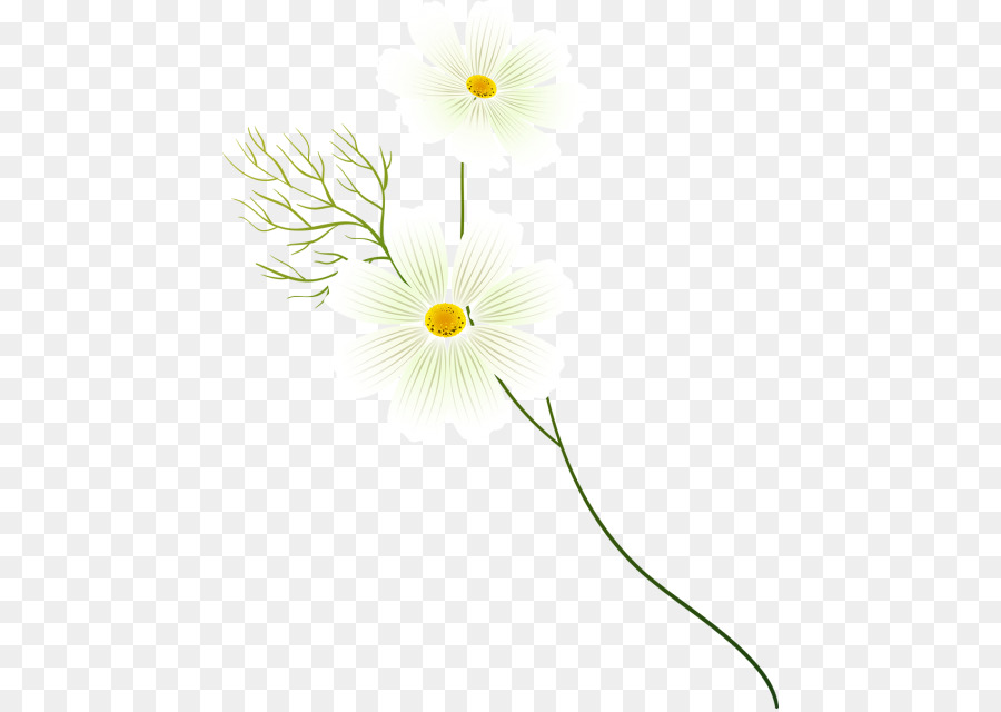 Schnittblumen Pflanzen-Stammzellen Blütenblatt-Linie - Linie