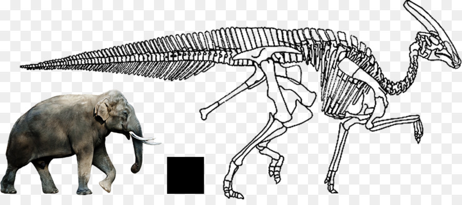 Afrikanische Elefanten Charonosaurus indischen Elefanten Tyrannosaurus Ankylosaurus - Dinosaurier