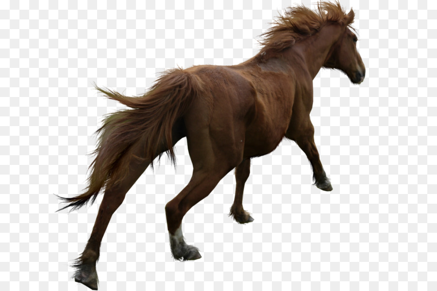 Mähne Breyer Animal Creations Pony-Mustang-Modell Pferd - Mustang
