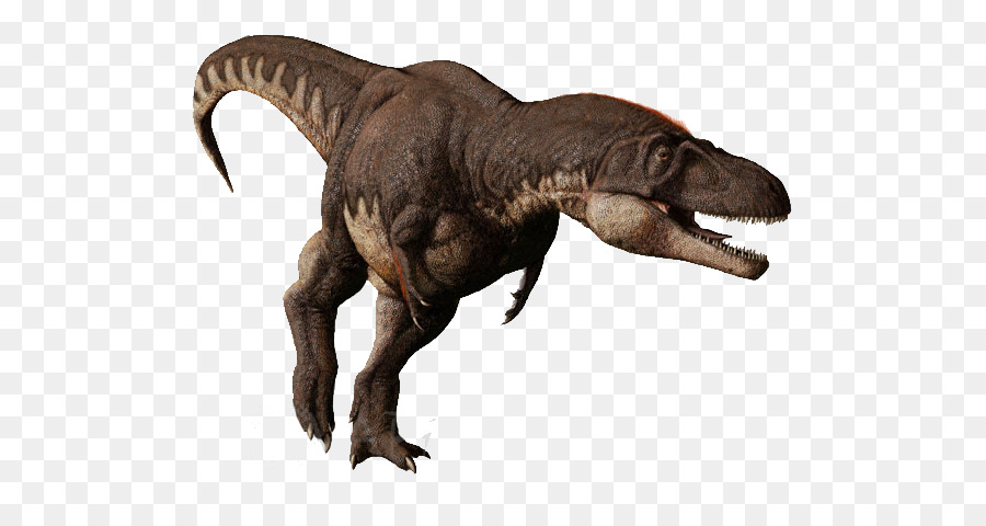 Tyrannosaurus Daspletosaurus Albertosaurus Tarbosaurus Pachyrhinosaurus - Khủng long
