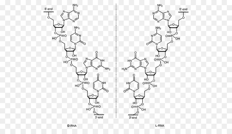 Il DNA di L-acido Ribonucleico aptamer L-acido Ribonucleico aptamer RNA - altri