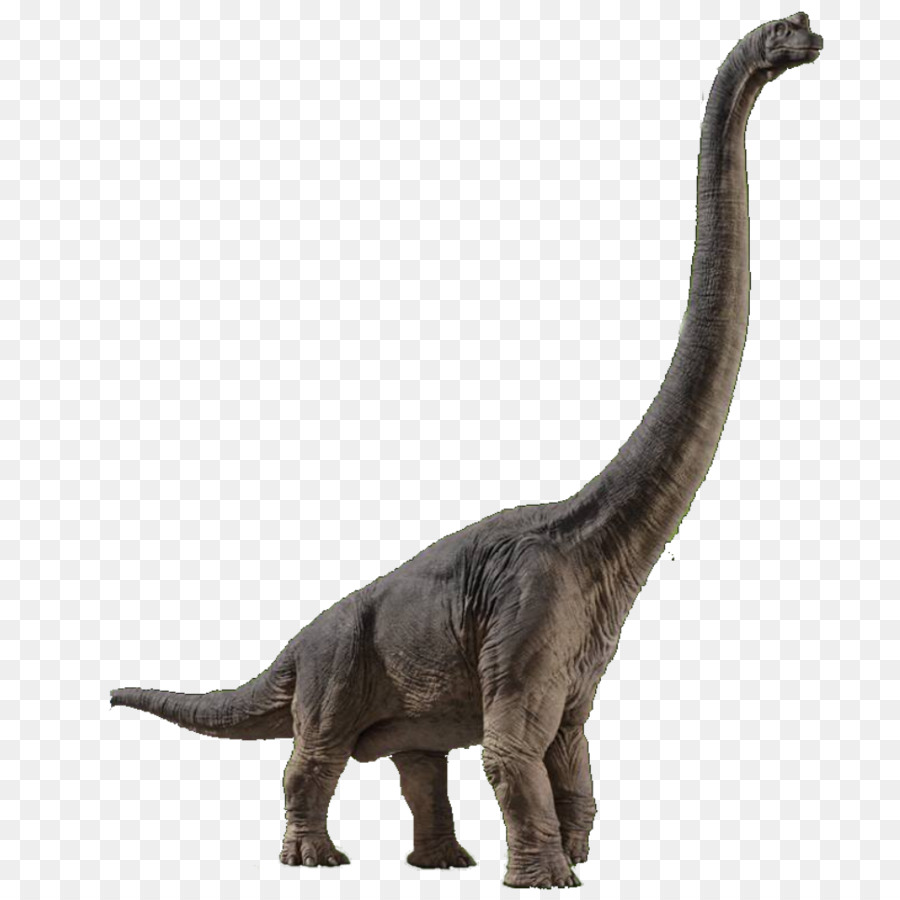 Brachiosaurus Velociraptor Spinosaurus Jurassic Park Builder Mondo Giurassico Evoluzione - Jurassic World: Fallen Kingdom