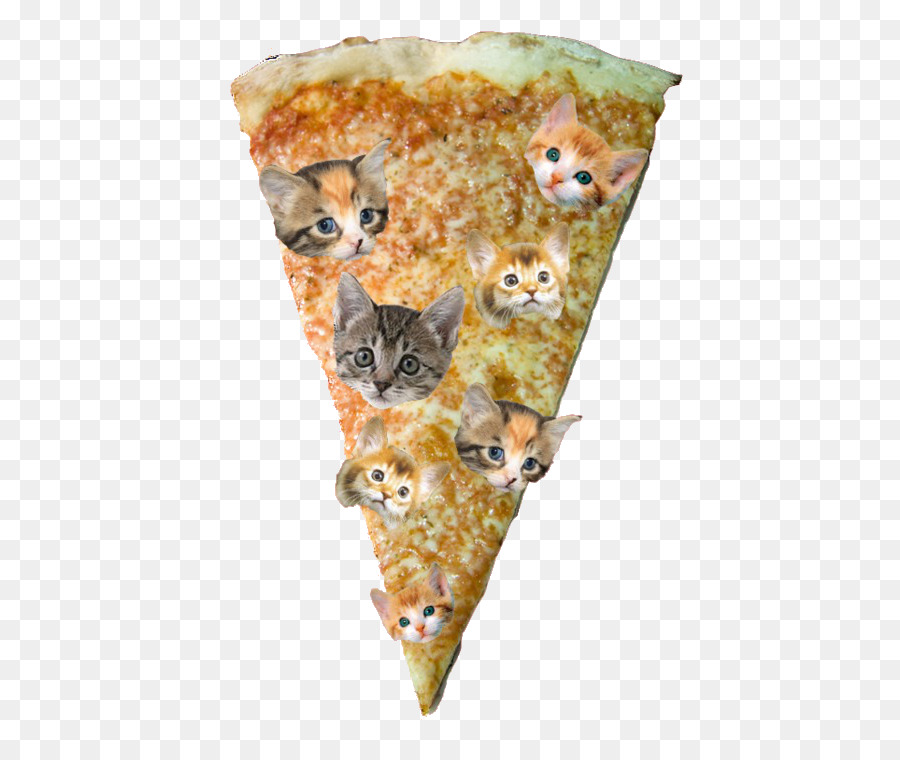 Pizza Hut Katze Kätzchen - Stück pizza