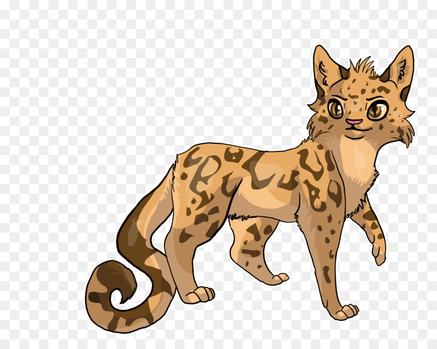 Baffi Wildcat Guerrieri Ghepardo - gatto