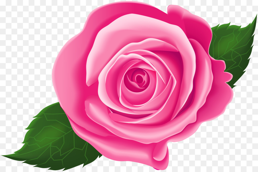 Hoa hồng trong vườn bắp Cải rose Floribunda Hồng Clip nghệ thuật - rose lại
