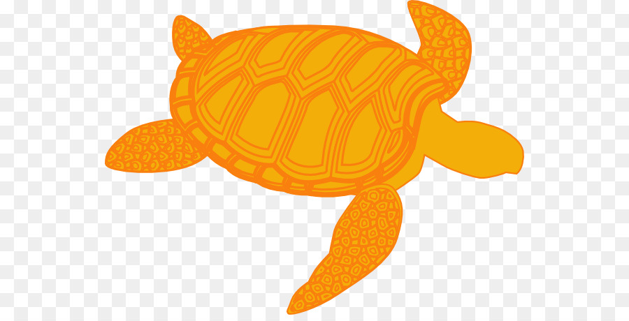 Grüne Meeresschildkröten Clip Art - Schildkröte