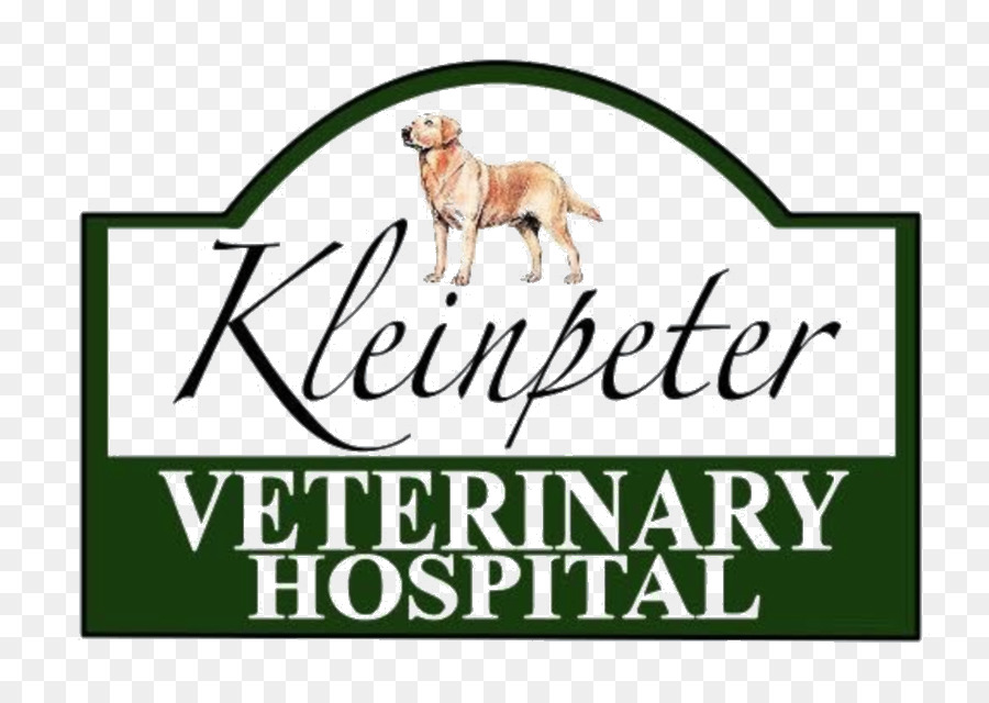 Kleinpeter Ospedale Veterinario di Labrador Retriever Gatto Veterinario Dog daycare - gatto