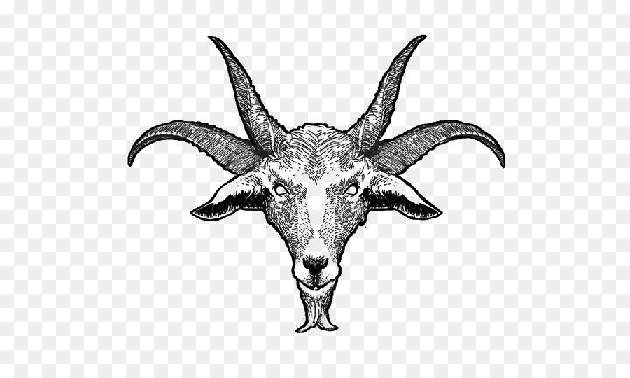 Skull Tattoo png download - 600*527 - Free Transparent Goat png Download. -  CleanPNG / KissPNG