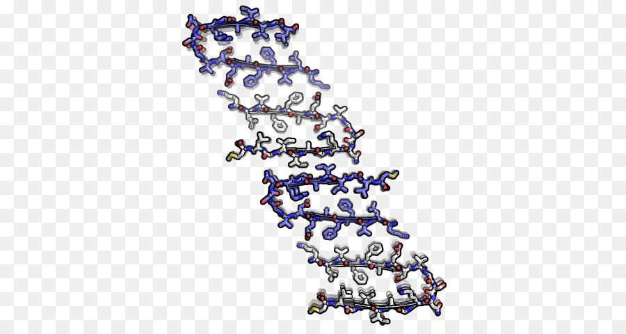Härchen Amyloid-Beta-2-mikroglobulin Molekulare Modell - andere