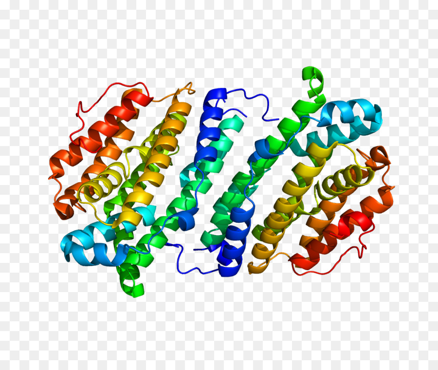 RRM2B Ribonucleotide Reduktase Ribonucleoside Gen - andere