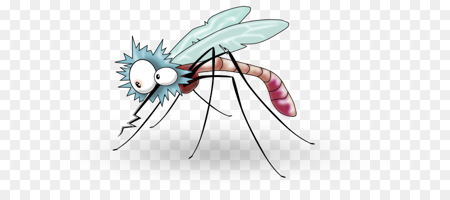 Gia Muỗi Thuốc Diệt Côn Trùng, Một Loại Muôi - động vật hoạt hình