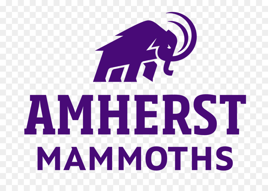 Amherst College football dell'Università del Massachusetts Amherst Beneski Museo di Storia Naturale di Massachusetts Occidentale - mammut