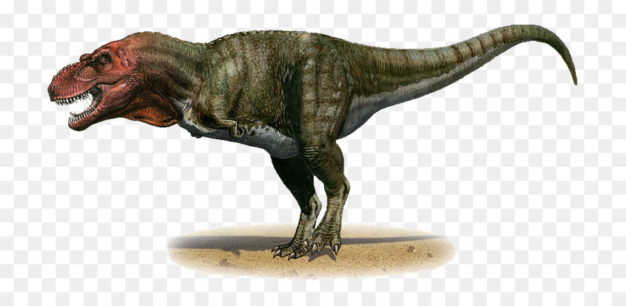 Tyrannosaurus Tardo Cretaceo, Dinosauro Torvosaurus - dinosauri