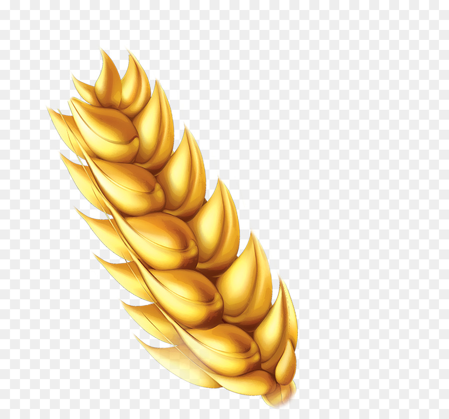 Cereali per la prima colazione Chocapic Orecchio - l'oro del grano