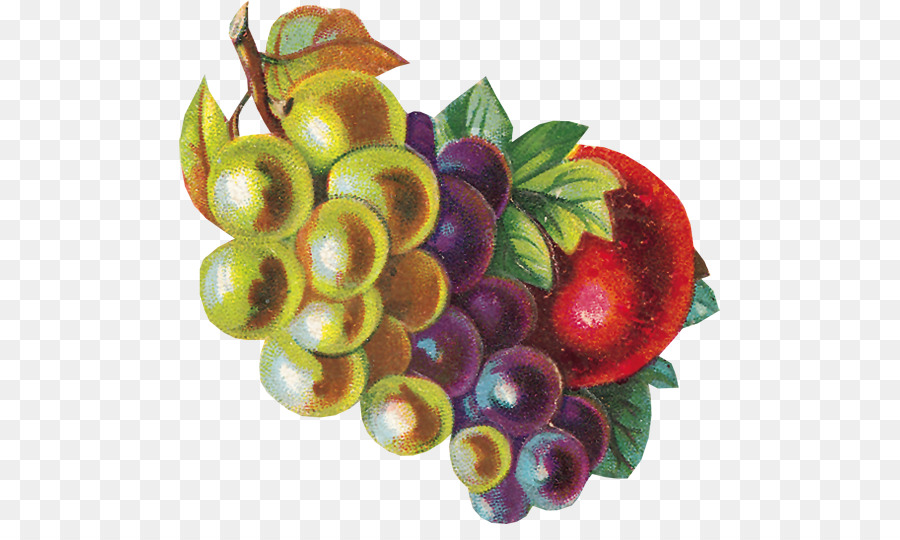 Cranberry thức Ăn trái Cây ăn Chay - trái cây