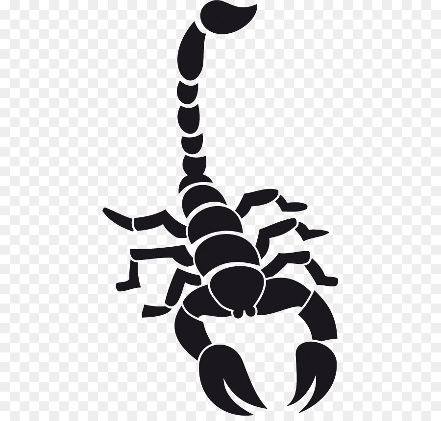 Scorpion Tattoo PNG Clipart Art Blackandgray Black And White Drawing  Evil Free PNG Download