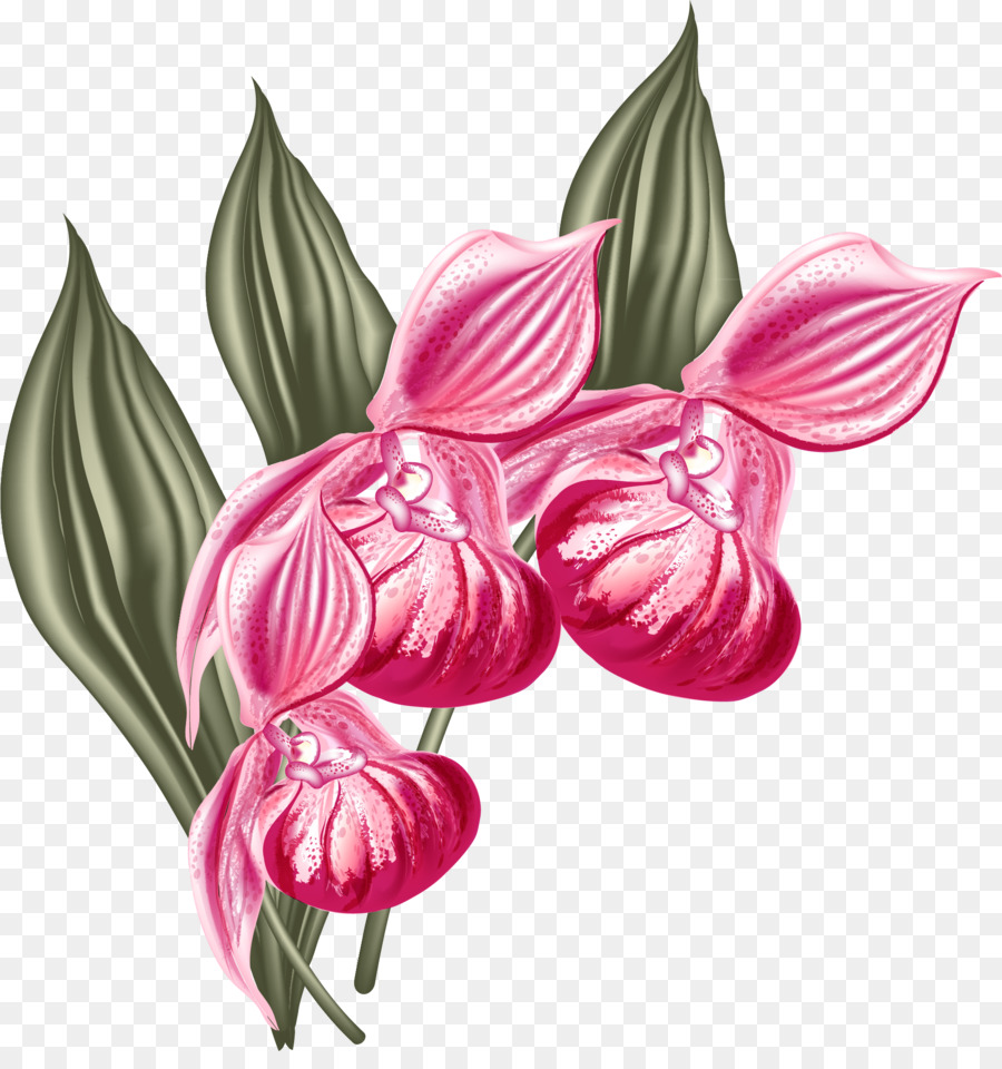 Moth Orchideen Grafik design - Design