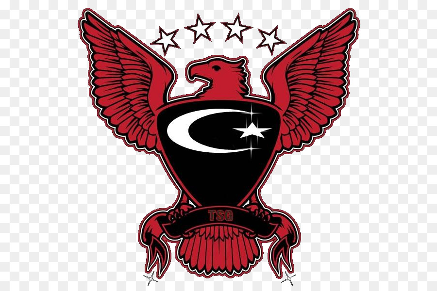 Atlanta Hawks Eisen on Logo - andere
