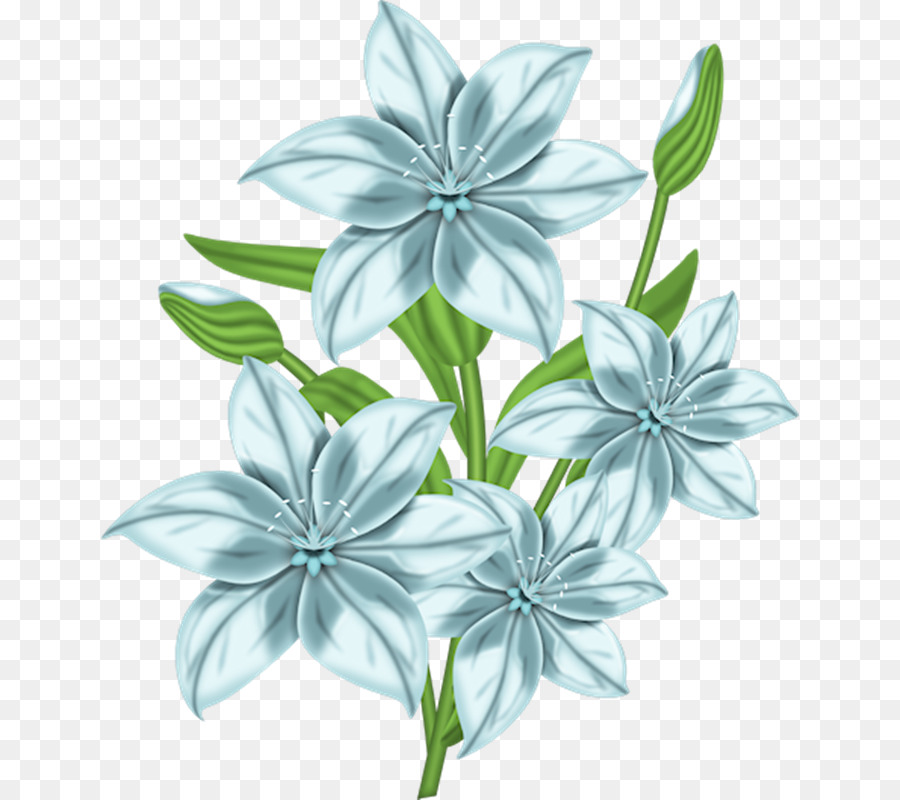 Animaatio Compleanno Clip art - fiori bianchi