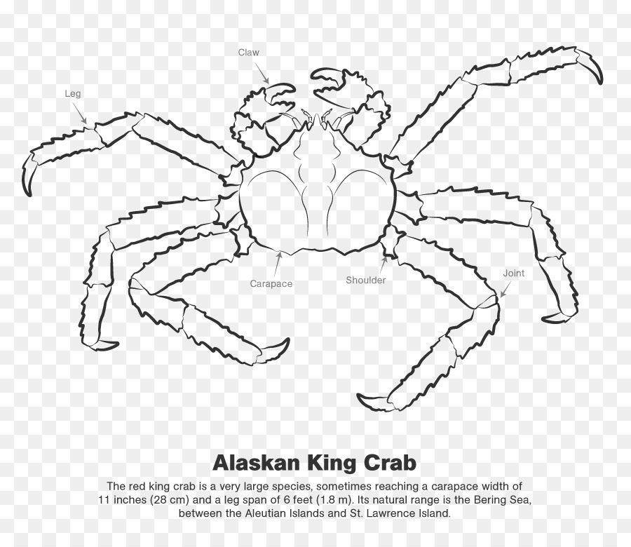 Krabbe, Line-art Zeichnung /m/02csf - Krabbe