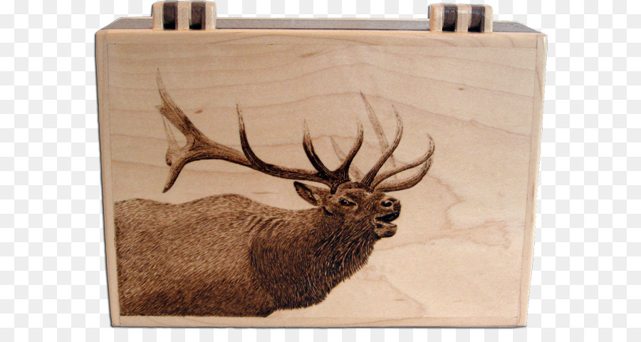 Cervo, Alce In Pirografia Legno Arte - cervo