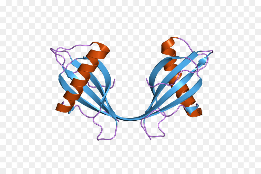 Cystatin B Protein Gen Dimer - andere