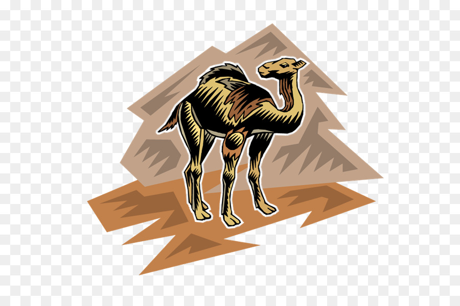 Kamel PhotoScape - Camel