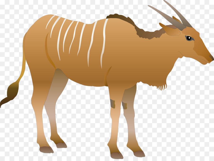 Cattle Horn
