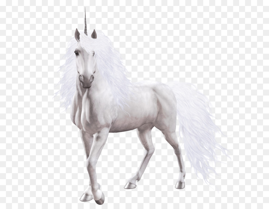 Einhorn Pferd Psychologie, Mythologie, Pegasus - Einhorn