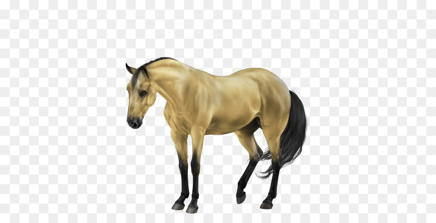 Mähne Mustang Hengst Stute Fohlen - gold Pferd