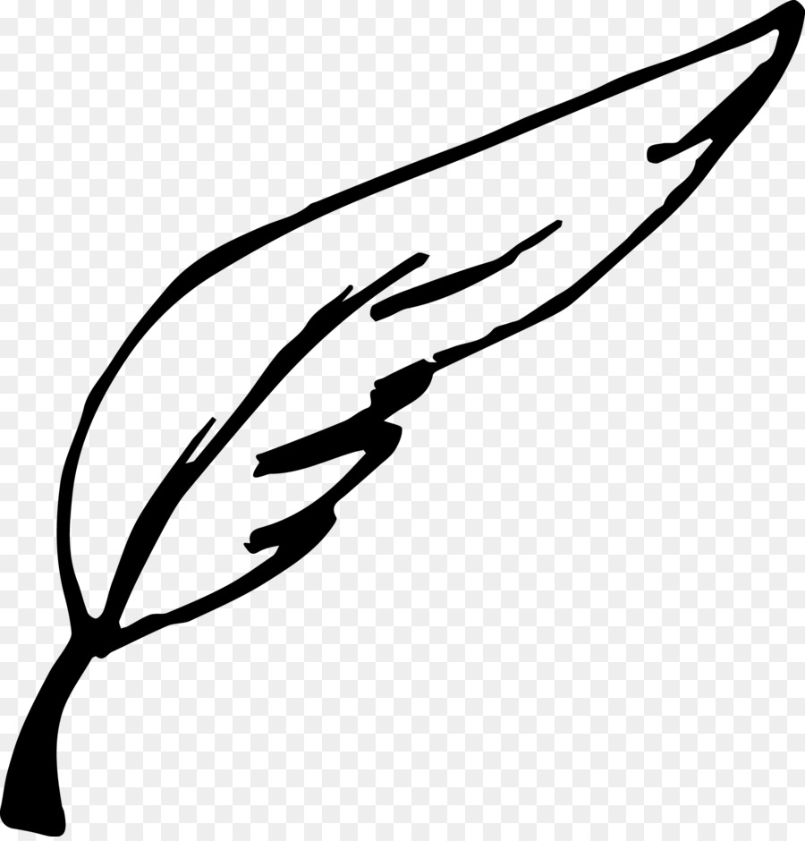 Linie Kunst Blatt, Pflanze, Stamm clipart - hand gezeichneten Feder