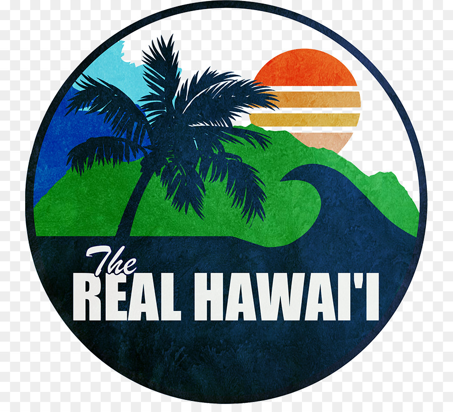 Die Echte Hawaii Surf Bus   North Shore Aktivitäten Tour Echte Hawaii Tours Beleuchtung für Bildung Hawaii circle Island tour - Hawaii Island